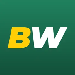 BetWinner